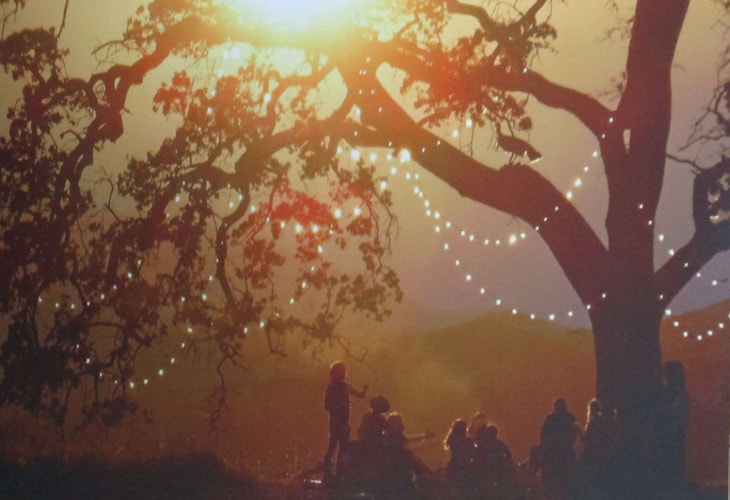 Stephen James Clark Painter